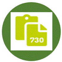MODELLO 730